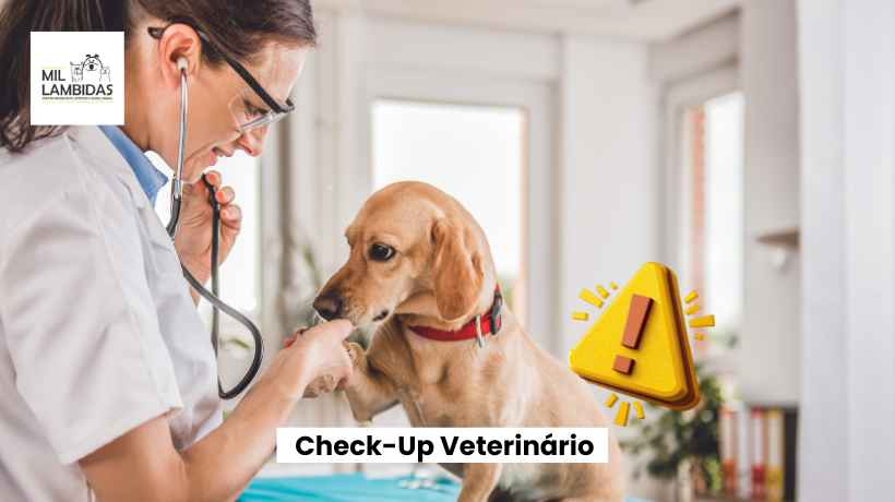 checkup-veterinario