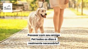 passear-com-cachorro-todos-os-dias-e-necessario